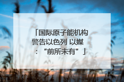 国际原子能机构警告以色列 以媒：“前所未有”
