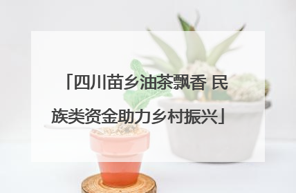 四川苗乡油茶飘香 民族类资金助力乡村振兴