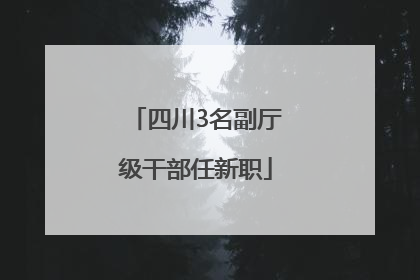 四川3名副厅级干部任新职