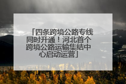 四条跨境公路专线同时开通！河北首个跨境公路运输集结中心启动运营