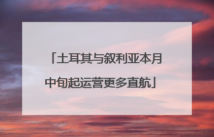 土耳其与叙利亚本月中旬起运营更多直航