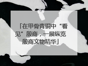在甲骨青铜中“看见”殷商，一展纵览殷商文物精华