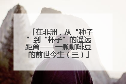 在非洲，从“种子”到“杯子”的遥远距离——一颗咖啡豆的前世今生（三）