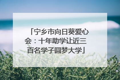 宁乡市向日葵爱心会：十年助学让近三百名学子圆梦大学