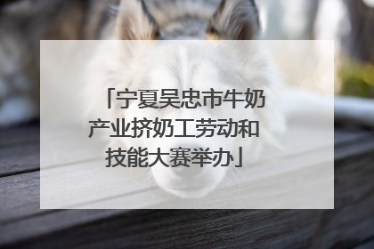 宁夏吴忠市牛奶产业挤奶工劳动和技能大赛举办