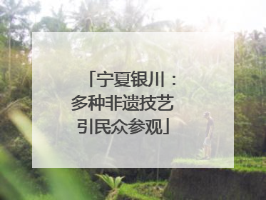 宁夏银川：多种非遗技艺引民众参观