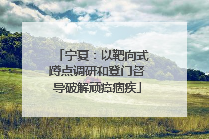 宁夏：以靶向式蹲点调研和登门督导破解顽瘴痼疾