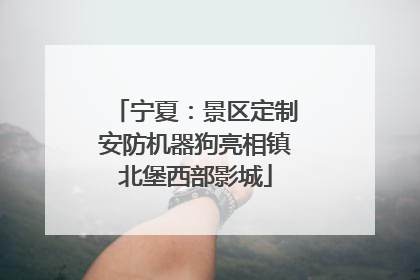 宁夏：景区定制安防机器狗亮相镇北堡西部影城