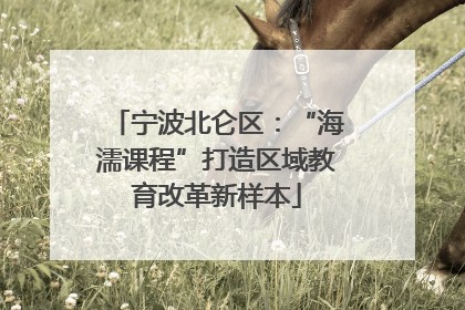 宁波北仑区：“海濡课程”打造区域教育改革新样本