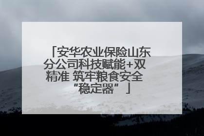 安华农业保险山东分公司科技赋能+双精准 筑牢粮食安全“稳定器”