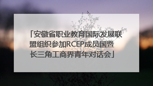 安徽省职业教育国际发展联盟组织参加RCEP成员国暨长三角工商界青年对话会