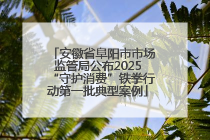 安徽省阜阳市市场监管局公布2025“守护消费”铁拳行动第一批典型案例