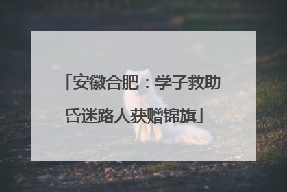安徽合肥：学子救助昏迷路人获赠锦旗