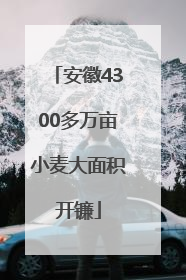 安徽4300多万亩小麦大面积开镰