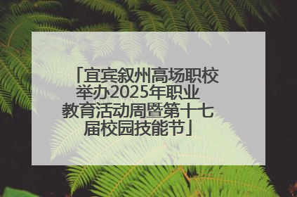 宜宾叙州高场职校举办2025年职业教育活动周暨第十七届校园技能节