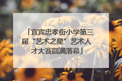 宜宾忠孝街小学第三届“艺术之星”艺术人才大赛圆满落幕