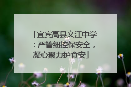 宜宾高县文江中学：严管细控保安全，凝心聚力护食安