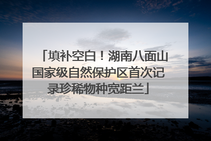 填补空白！湖南八面山国家级自然保护区首次记录珍稀物种宽距兰