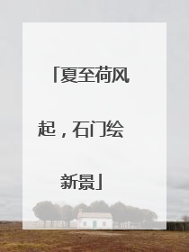 夏至荷风起，石门绘新景