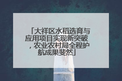 大祥区水稻选育与应用项目实现新突破，农业农村局全程护航成果斐然