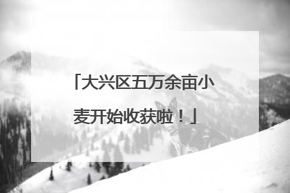 大兴区五万余亩小麦开始收获啦！