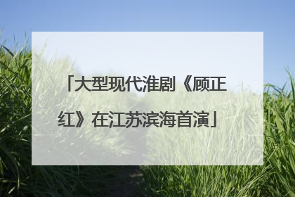 大型现代淮剧《顾正红》在江苏滨海首演