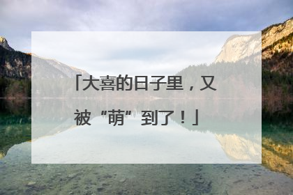 大喜的日子里，又被“萌”到了！