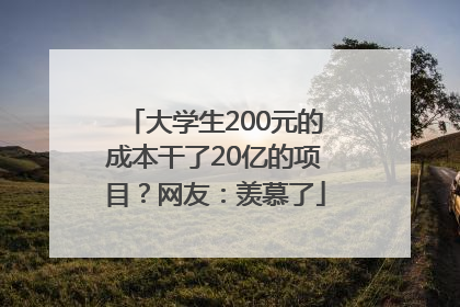大学生200元的成本干了20亿的项目？网友：羡慕了