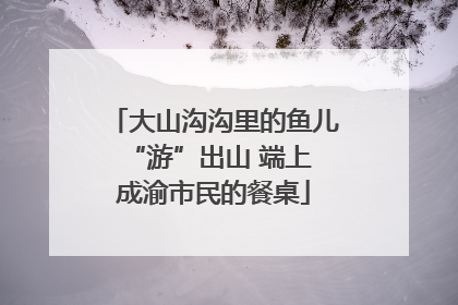 大山沟沟里的鱼儿 “游”出山 端上成渝市民的餐桌