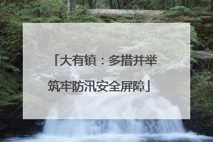 大有镇：多措并举筑牢防汛安全屏障