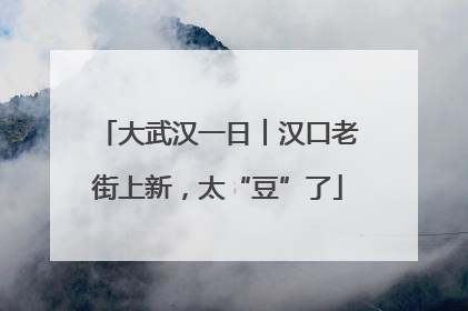大武汉一日︱汉口老街上新，太“豆”了