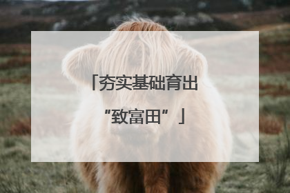 夯实基础育出“致富田”