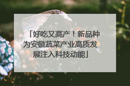 好吃又高产！新品种为安徽蔬菜产业高质发展注入科技动能