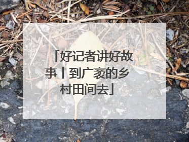 好记者讲好故事丨到广袤的乡村田间去