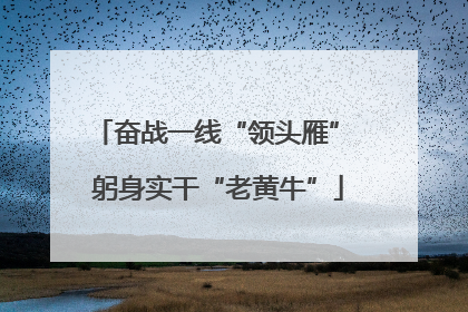 奋战一线“领头雁” 躬身实干“老黄牛”