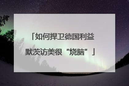 如何捍卫德国利益 默茨访美很“烧脑”