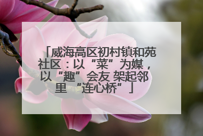 威海高区初村镇和苑社区：以“菜”为媒，以“趣”会友 架起邻里 “连心桥”
