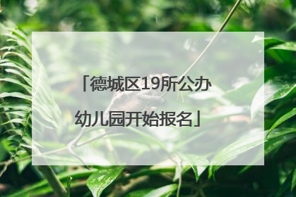 德城区19所公办幼儿园开始报名