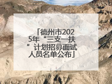 德州市2025年“三支一扶”计划招募面试人员名单公布
