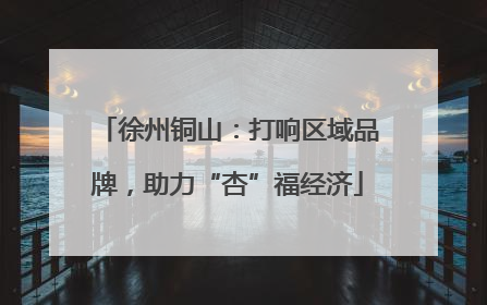 徐州铜山：打响区域品牌，助力“杏”福经济