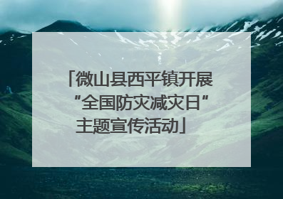 微山县西平镇开展“全国防灾减灾日”主题宣传活动
