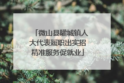微山县驩城镇人大代表履职出实招精准服务促就业