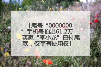 尾号“0000000”手机号拍出61.2万，买家“李小龙”已付尾款，仅享有使用权