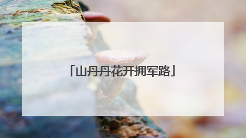 山丹丹花开拥军路