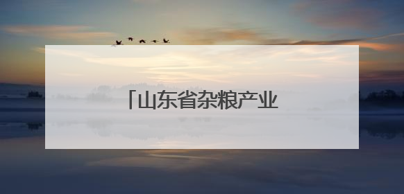 山东省杂粮产业技术体系首席专家参访古贝春集团