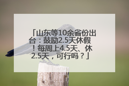 山东等10余省份出台：鼓励2.5天休假！每周上4.5天、休2.5天，可行吗？