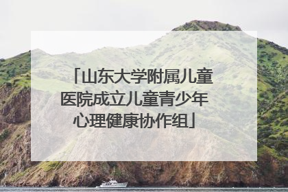 山东大学附属儿童医院成立儿童青少年心理健康协作组