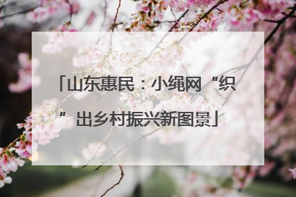 山东惠民：小绳网“织”出乡村振兴新图景