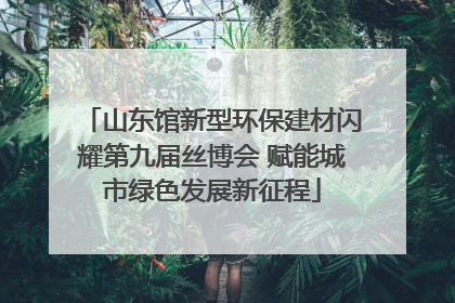 山东馆新型环保建材闪耀第九届丝博会 赋能城市绿色发展新征程
