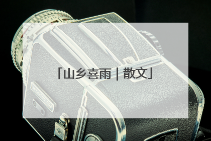 山乡喜雨｜散文